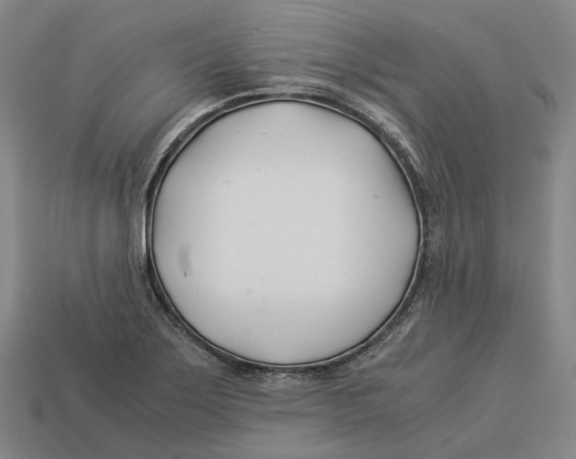 X0000113091275200909251002