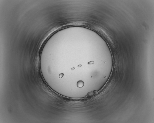 X0000113091276200909251002