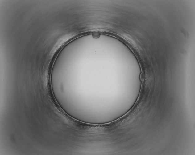 X0000113091277200909251002