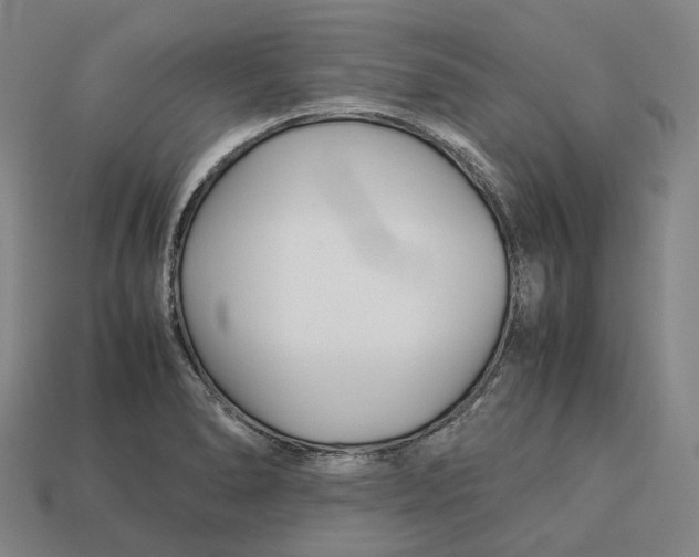 X0000113091278200909251002