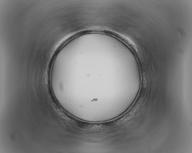 X0000113091279200909251002