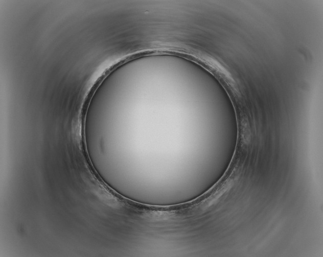 X0000113091280200909251002