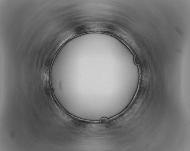 X0000113091281200909251002