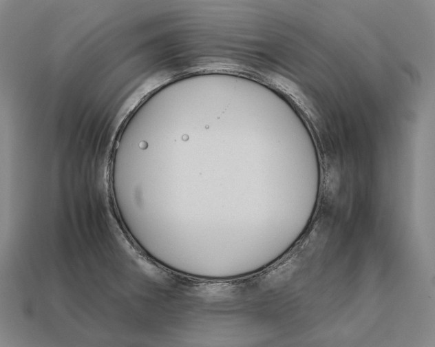 X0000113091282200909251002