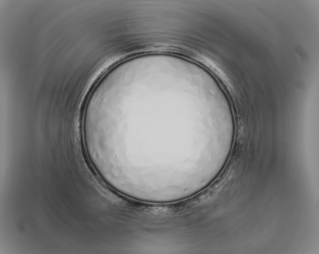 X0000113091283200909251002