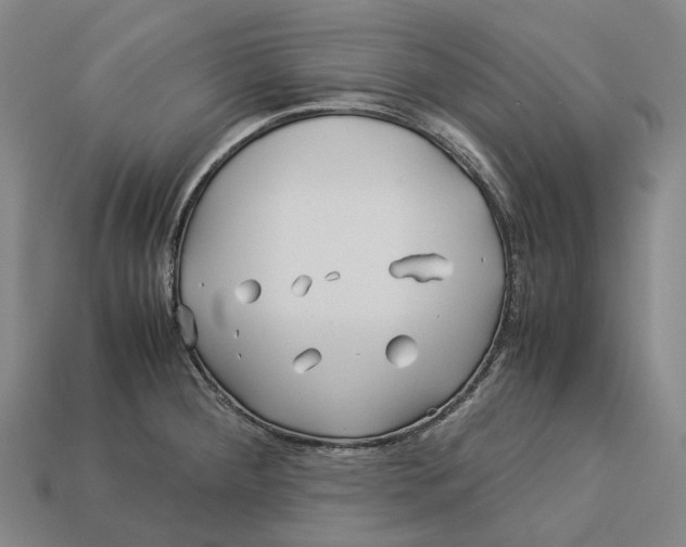 X0000113091284200909251002