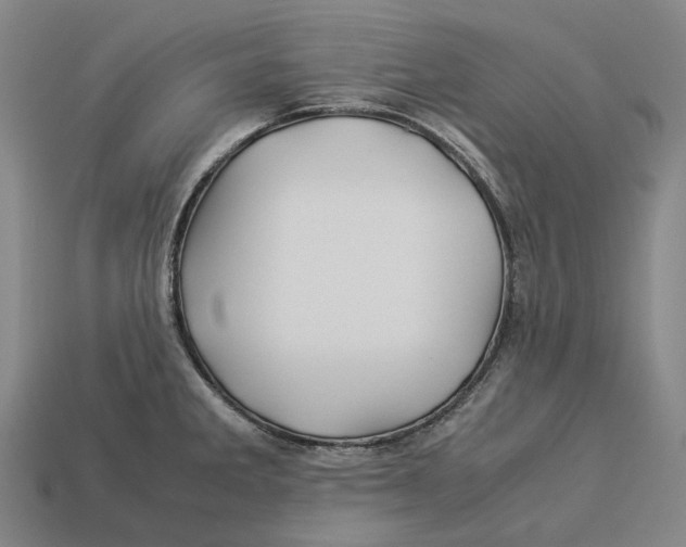 X0000113091285200909251002