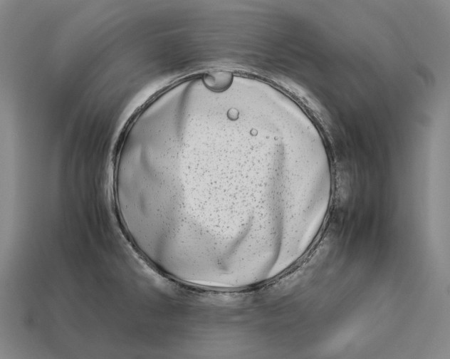 X0000113091286200909251002