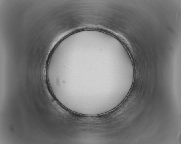 X0000113091287200909251002