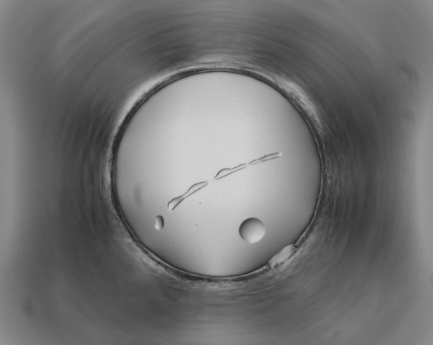 X0000113091288200909251002