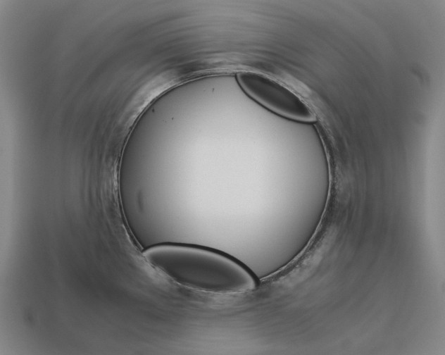 X0000113091289200909251002