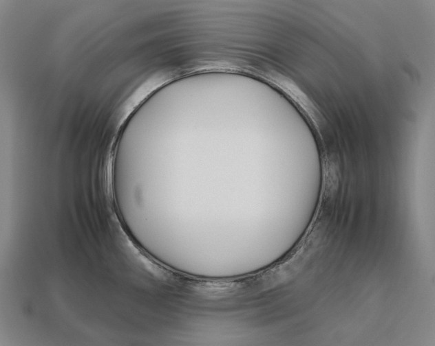 X0000113091290200909251002