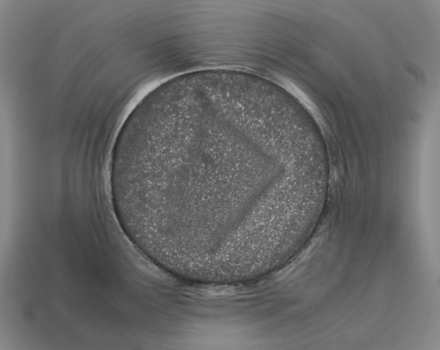 X0000113091291200909251002