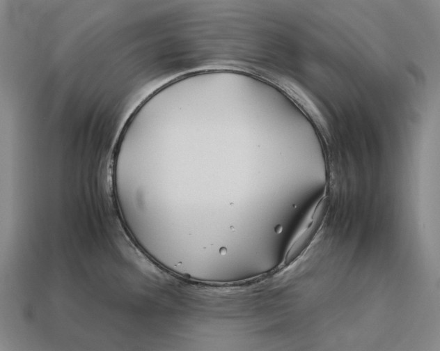 X0000113091292200909251002