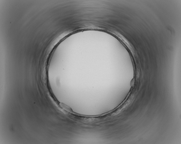 X0000113091293200909251002