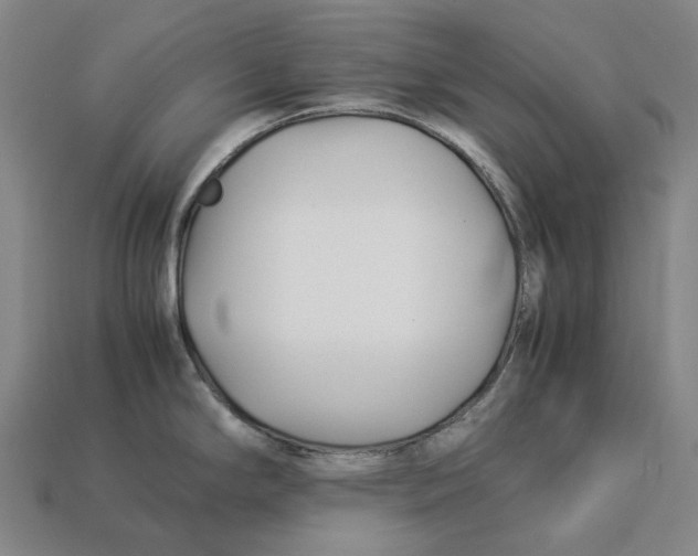 X0000113091294200909251002