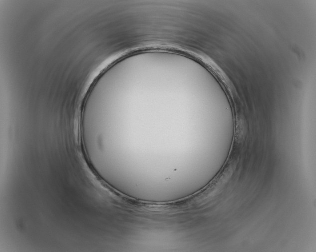 X0000113091295200909251002