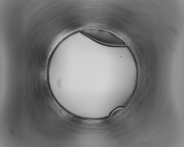 X0000113091296200909251002