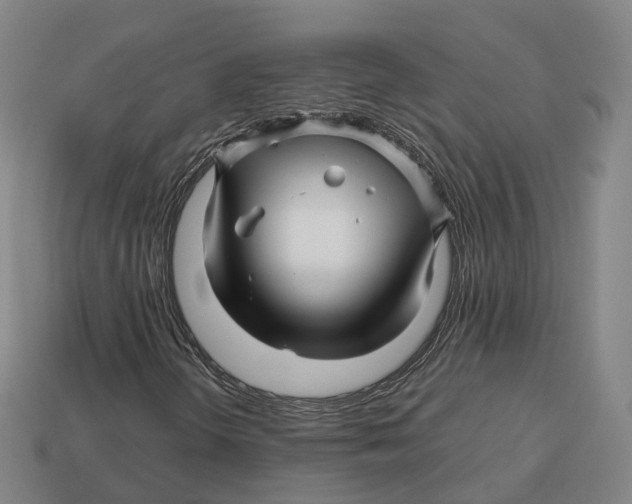 X0000113091298200909251001