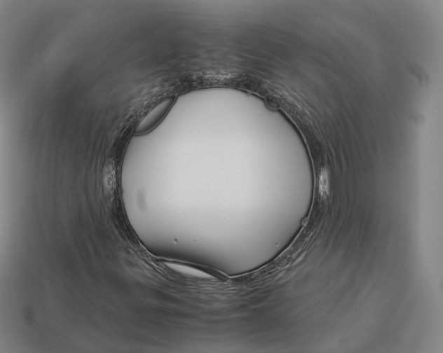 X0000113091299200909251001