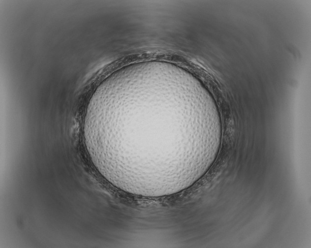 X0000113091302200909251002