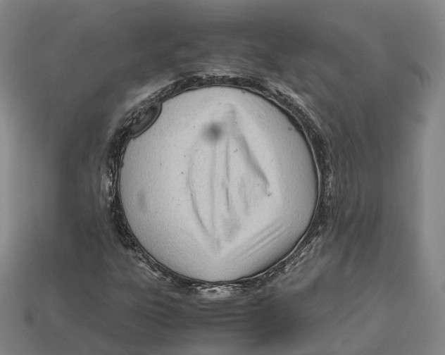 X0000113091303200909251002