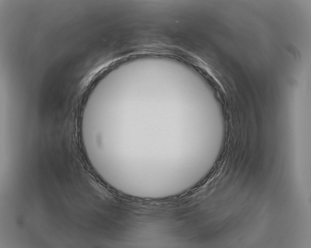 X0000113091304200909251002