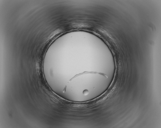 X0000113091305200909251002