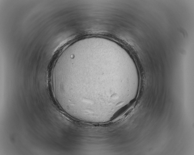 X0000113091306200909251002