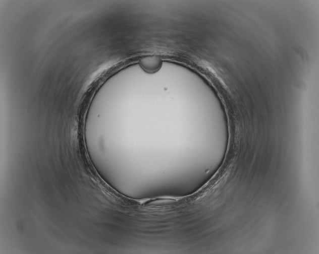 X0000113091307200909251002