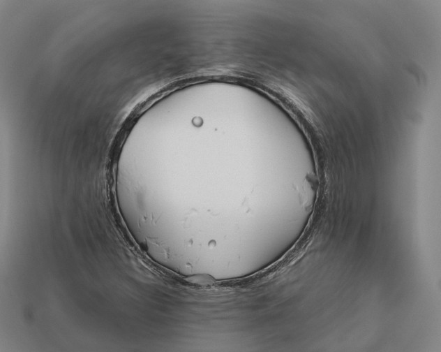 X0000113091308200909251002