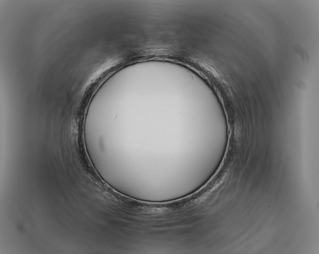 X0000113091309200909251002