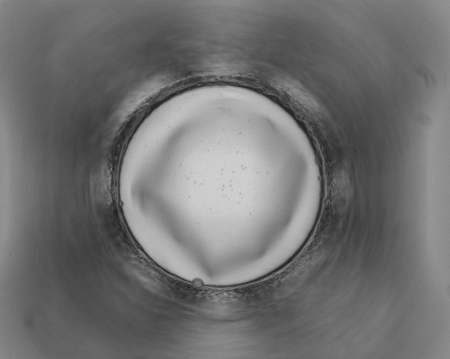 X0000113091310200909251002