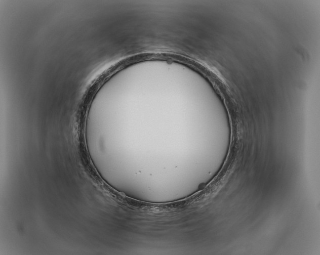 X0000113091311200909251002