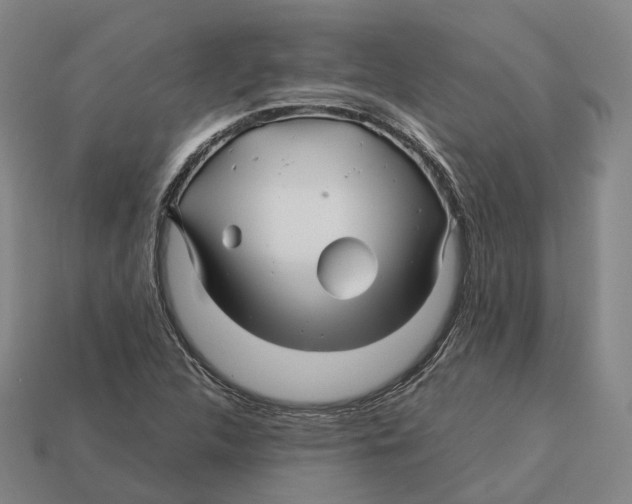 X0000113091312200909251002