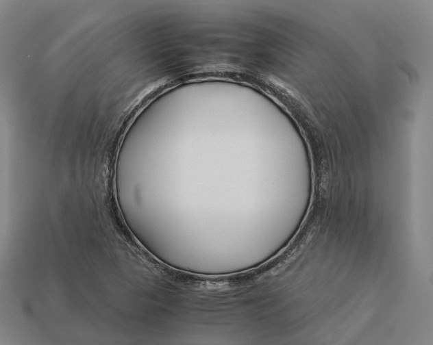 X0000113091313200909251002