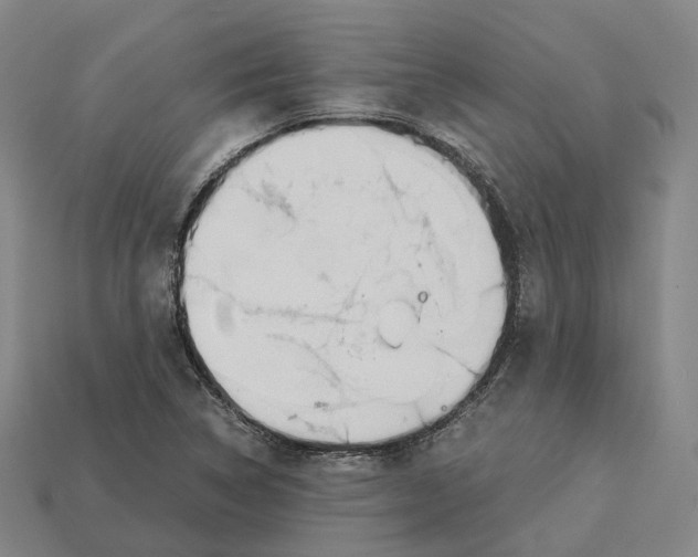 X0000113091314200909251002