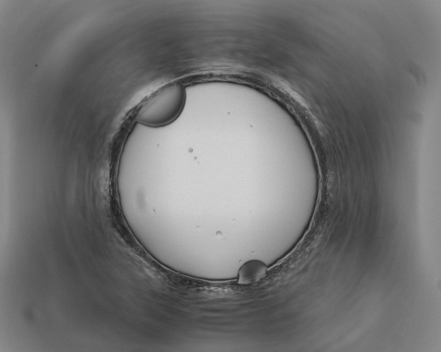 X0000113091315200909251002