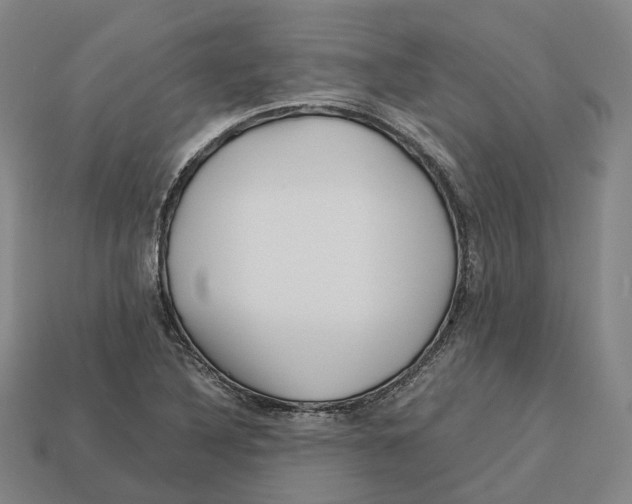 X0000113091316200909251002