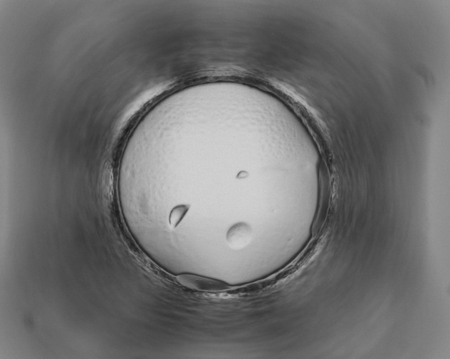 X0000113091317200909251002