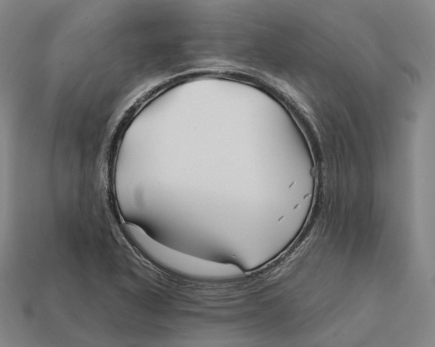 X0000113091318200909251002