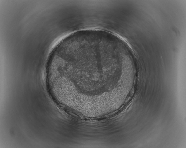 X0000113091319200909251002