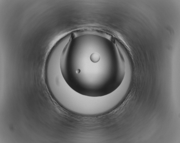 X0000113091320200909251002