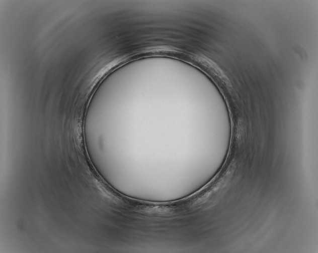 X0000113091321200909251002