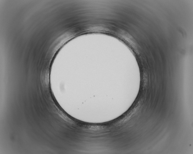 X0000113091322200909251002