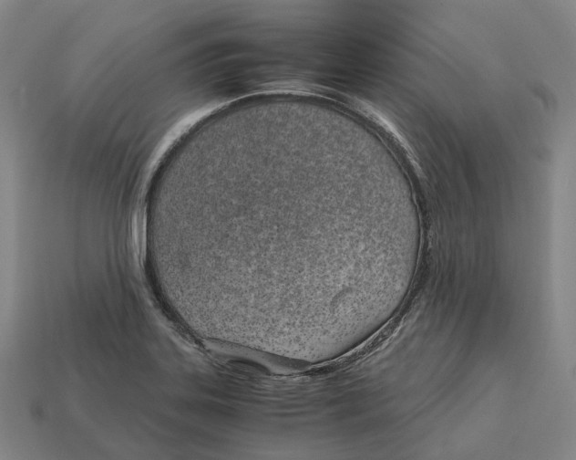 X0000113091323200909251002