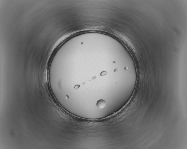 X0000113091324200909251002