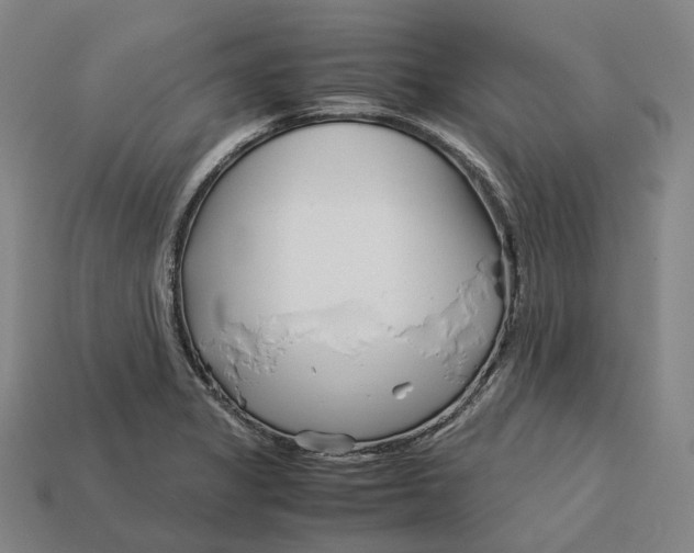 X0000113091325200909251002