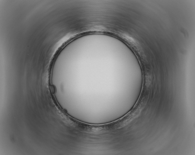 X0000113091326200909251002