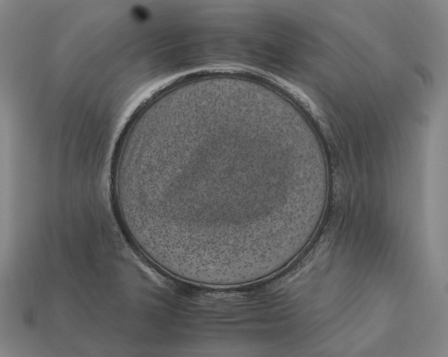 X0000113091327200909251002